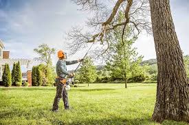 Best Lawn Mowing  in Travilah, MD